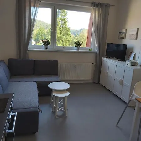 Tony Apartman Slapy